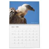 12-maandkalender van de verschillende vogels kalender (Mar 2026)
