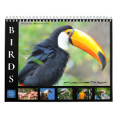 12-maandkalender van de verschillende vogels kalender (Hoes)