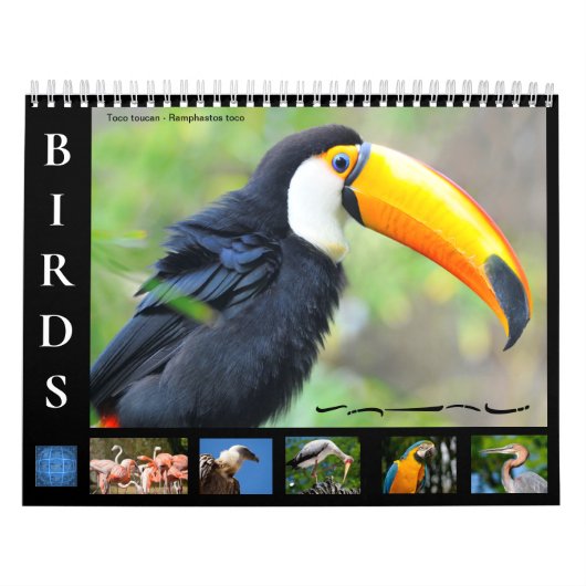 12-maandkalender van de verschillende vogels kalender (Hoes)