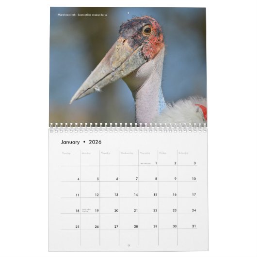 12-maandkalender van de verschillende vogels kalender (Jan 2026)