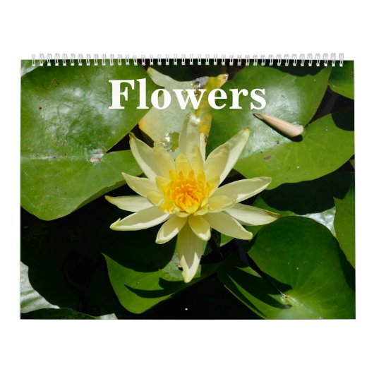 12-maands bloemen wandkalender kalender (Hoes)