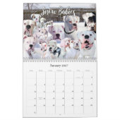 12-maands boxer Dog Life Calendar Kalender (Jan 2027)