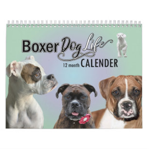 12-maands boxer Dog Life Calendar Kalender