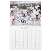 12-maands boxer Dog Life Calendar Kalender (Jan 2026)