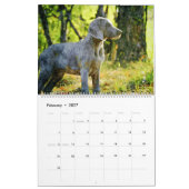 12-maands Ghoxyhars Weimaraner Waterverf Gifts Kalender (Feb 2027)