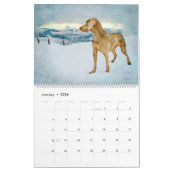 12-maands Ghoxyhars Weimaraner Waterverf Gifts Kalender (Jan 2026)