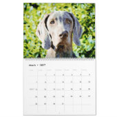12-maands Ghoxyhars Weimaraner Waterverf Gifts Kalender (Mar 2027)