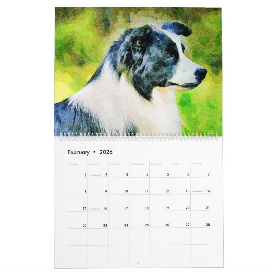 12-maands grens Collie Sheep Dogs Waterverf Art Kalender (Feb 2026)