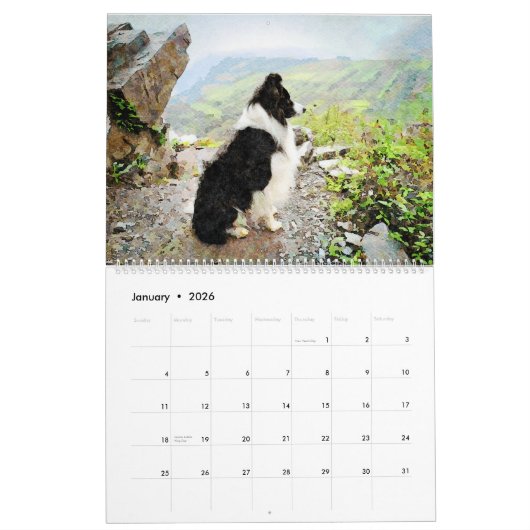 12-maands grens Collie Sheep Dogs Waterverf Art Kalender (Jan 2026)