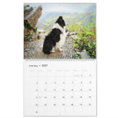 12-maands grens Collie Sheep Dogs Waterverf Art Kalender (Jan 2027)