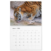 12-maands kalender Felines (Mar 2026)