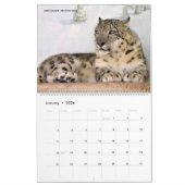 12-maands kalender Felines (Jan 2026)