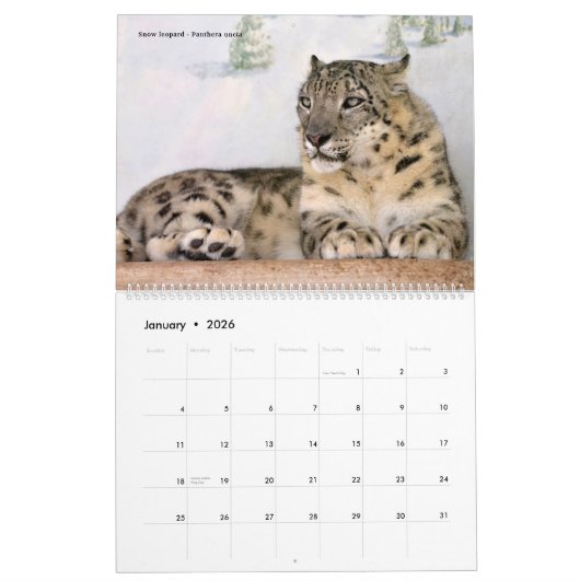 12-maands kalender Felines (Jan 2026)