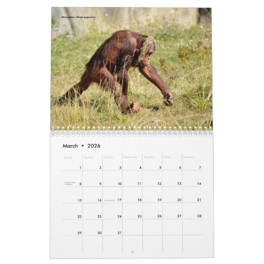 12-maands kalenderdieren kalender (Mar 2026)