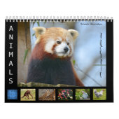 12-maands kalenderdieren kalender (Hoes)