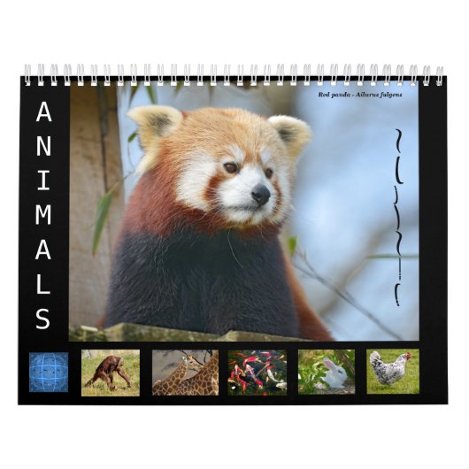 12-maands kalenderdieren kalender (Hoes)