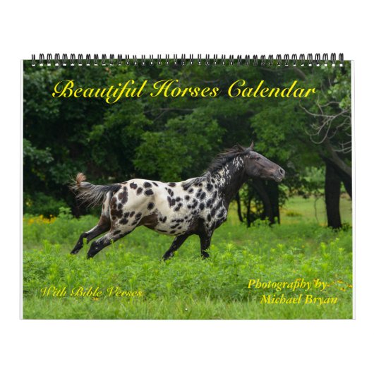 12-maands paardagkalender met bijbelversies, groot kalender (Hoes)