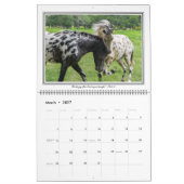 12-maands paardagkalender met bijbelversies, groot kalender (Mar 2027)