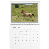 12-maands paardagkalender met bijbelversies, groot kalender (Feb 2027)