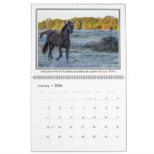 12-maands paardagkalender met bijbelversies, groot kalender (Jan 2026)