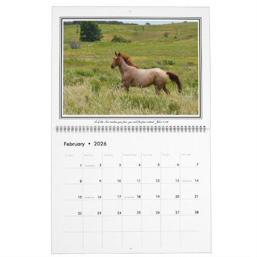 12-maands paardagkalender met bijbelversies, groot kalender (Feb 2026)