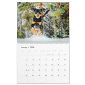 12-maands prachtige rottweiler-honden Waterverf-ca Kalender (Jan 2026)