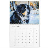 12-maands Regal Bernese Mountain Dogs Waterverf Kalender (Jan 2027)