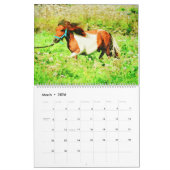 12-maands Shetland Ponies Waterverf Schilderkunst Kalender (Mar 2026)