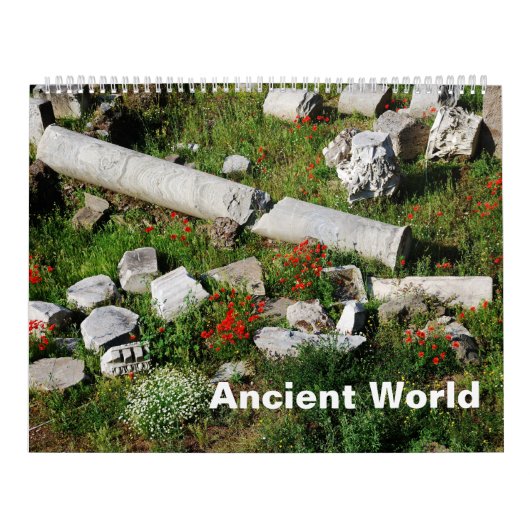 12-maands werelds fotokalender kalender (Hoes)
