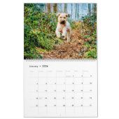 12-maands wielrennen Waterverf honden gezelschapsd Kalender (Jan 2026)