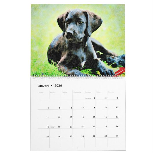 12-maands zwart laboratorium honden Waterverf kuns Kalender (Jan 2026)