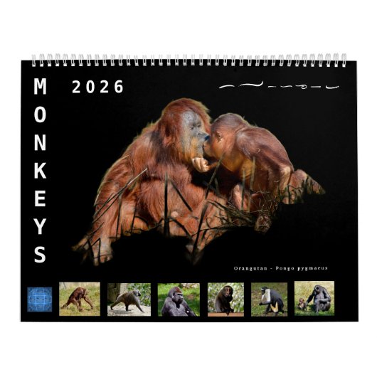 12 month calendar monkeys  kalender (Hoes)