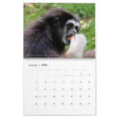 12 month calendar monkeys  kalender (Jan 2026)