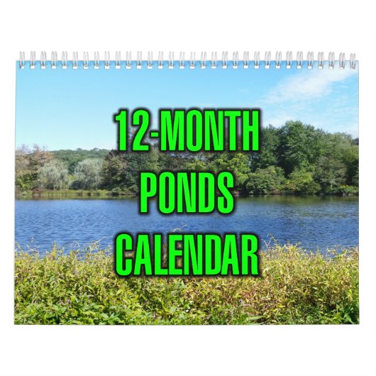 12-Month Ponds Kalender (Hoes)