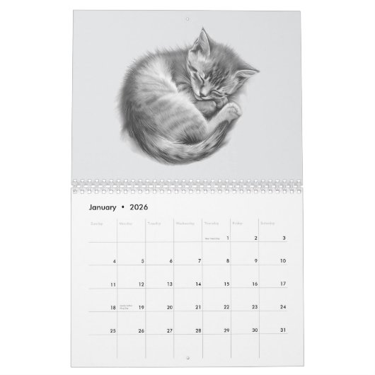 12 Months of Adorable Pencil Drawing Kittens Kalender (Jan 2026)
