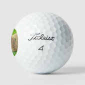 12 Pack- gepersonaliseerd Capybara Animal Golfballen (Logo)