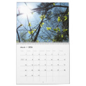 12 scènes van de Kalender van Washington DC (Mar 2026)