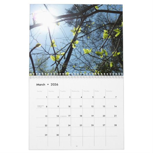 12 scènes van de Kalender van Washington DC (Mar 2026)