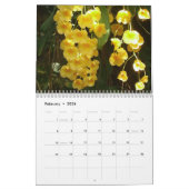 12 scènes van de Kalender van Washington DC (Feb 2026)