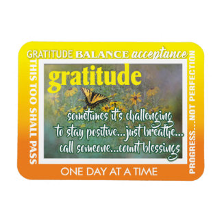 12 step gratitude magnet 26 butterflies magneet