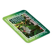 12 step recovery pass it on magnet 26 butterflies magneet (Rechterzijde)