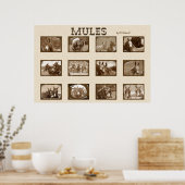 12 stuks poster (Keuken)