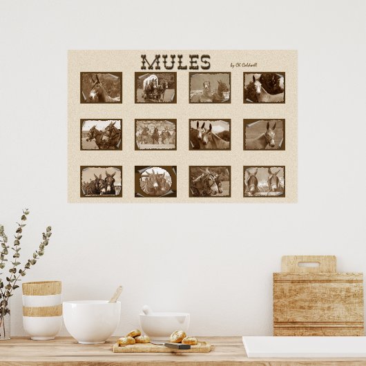 12 stuks poster (Keuken)