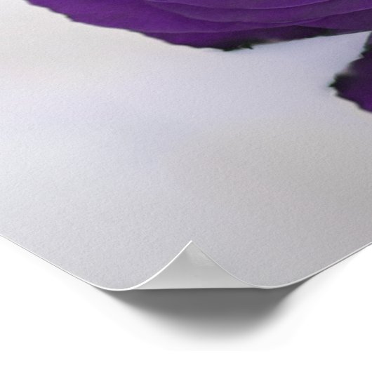 12 Tabel Elegant Royal Paars Roos Seating Chart Poster (Hoek)