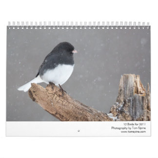 12 vogels voor 2017 (vast) kalender