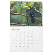 12 vogels voor 2017 (vast) kalender (Mar 2027)