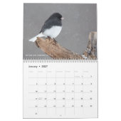 12 vogels voor 2017 (vast) kalender (Jan 2027)