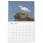 12 vogels voor 2017 (vast) kalender (Feb 2027)