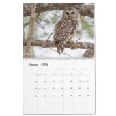 12 Vogels voor 2018 ~ Tom Spine Fotografie Kalender (Feb 2026)