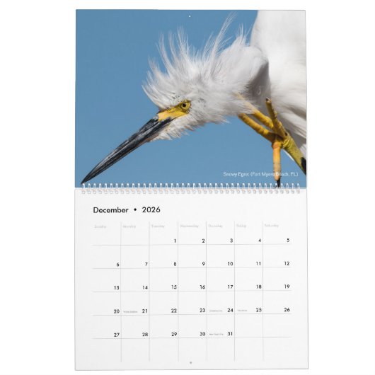 12 Vogels voor 2018 ~ Tom Spine Fotografie Kalender (Dec 2026)
